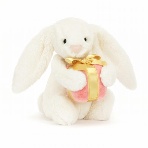Bashful Bunny with present - Image 3