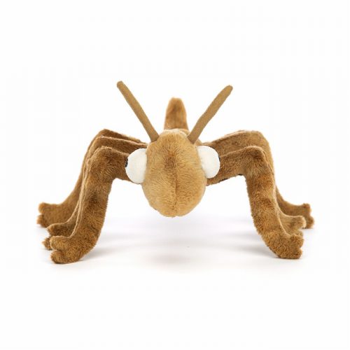 Stanley Stick Insect - Image 2