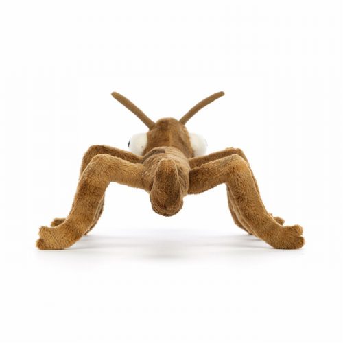 Stanley Stick Insect - Image 4